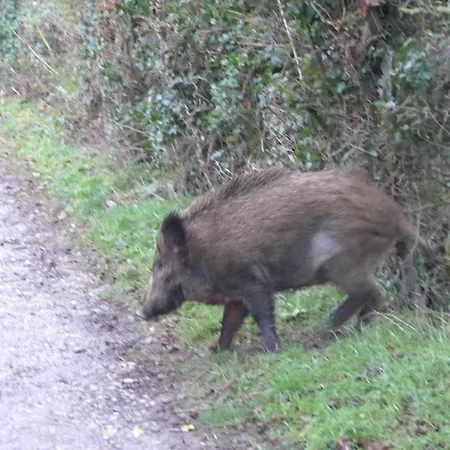 Echappee En Baie De Somme - Vue Magnifique Sur La Baie Apartmán Saint-Valéry-sur-Somme