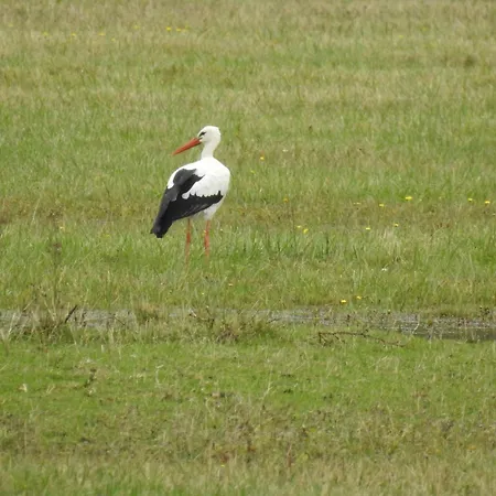 Apartmán Echappee En Baie De Somme - Vue Magnifique Sur La Baie