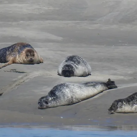 Echappee En Baie De Somme - Vue Magnifique Sur La Baie Apartmán Saint-Valéry-sur-Somme