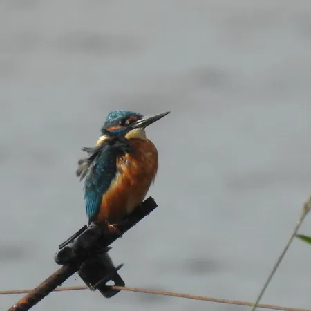 Echappee En Baie De Somme - Vue Magnifique Sur La Baie Apartmán