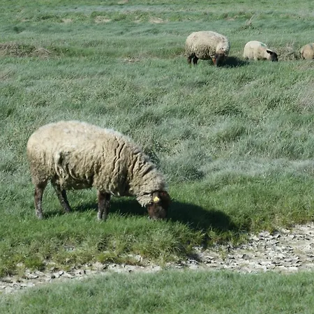 Apartmán Echappee En Baie De Somme - Vue Magnifique Sur La Baie Saint-Valéry-sur-Somme