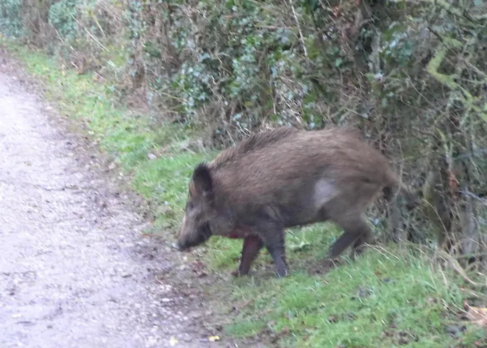 Echappee En Baie De Somme - Vue Magnifique Sur La Baie Apartament Saint-Valéry-sur-Somme