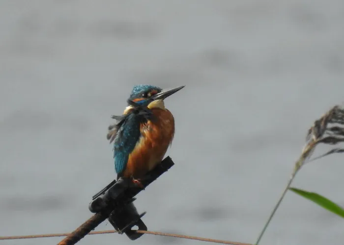 Echappee En Baie De Somme - Vue Magnifique Sur La Baie Apartament