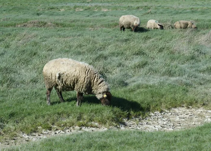 Apartament Echappee En Baie De Somme - Vue Magnifique Sur La Baie Saint-Valéry-sur-Somme