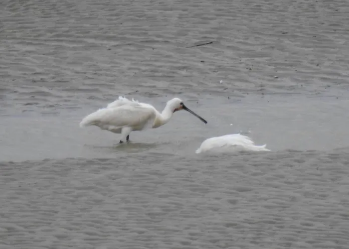 Lägenhet Echappee En Baie De Somme - Vue Magnifique Sur La Baie *
